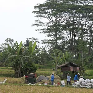 Pondok Gepokan Homestay Guest house